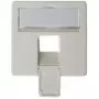 Frontplaat 50×50 mm voor AMJ45 8/8 UP/O, Telegärtner, alpinweiß