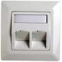 RJ45-adapterframe Cat.5e Telegärtner H02010A0040 45° dubbel 80x80 mm alpinweiß