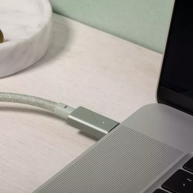 Native Union Belt Cable Pro USB-C naar USB-C, 2,4 m, LED-display, Rose