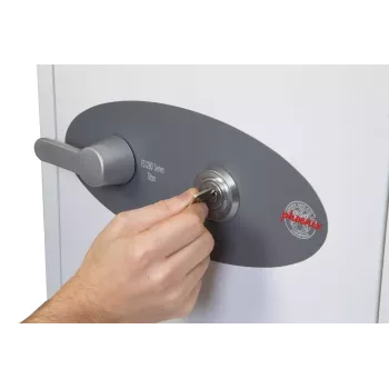 Vrijstaande safe Phoenix Safe Co. FS1282K