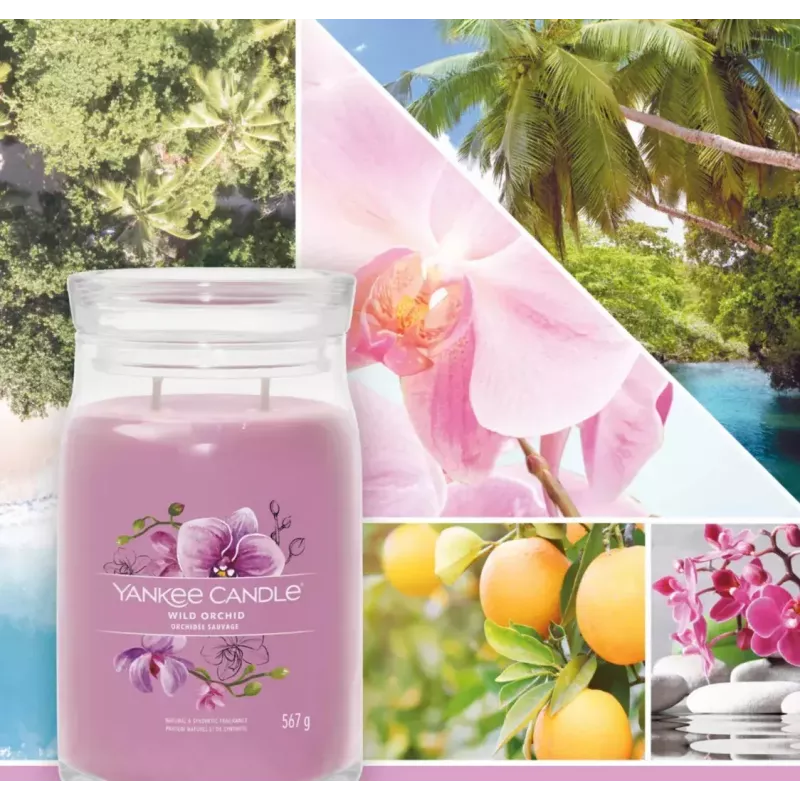 Waskaars Yankee Candle Wild Orchid hoogte 157 mm breedte 93 mm