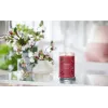Waskaars Yankee Candle 1724478E kersrood 149 mm 567 g