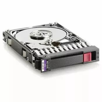 Hewlett Packard Enterprise hot-plug harde schijf 300 GB 10K RPM 2,5