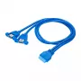 Akyga AK-CA-62 interne USB-3.0-adapterkabel, 19-pins header naar 2 x USB-A bus, 0,65 m