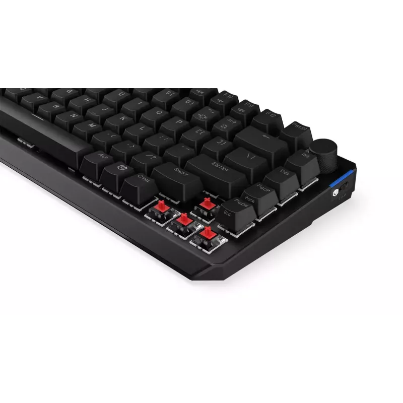 ENDORFY Thock 75% Wireless Red mechanisch RGB-LED-toetsenbord zwart
