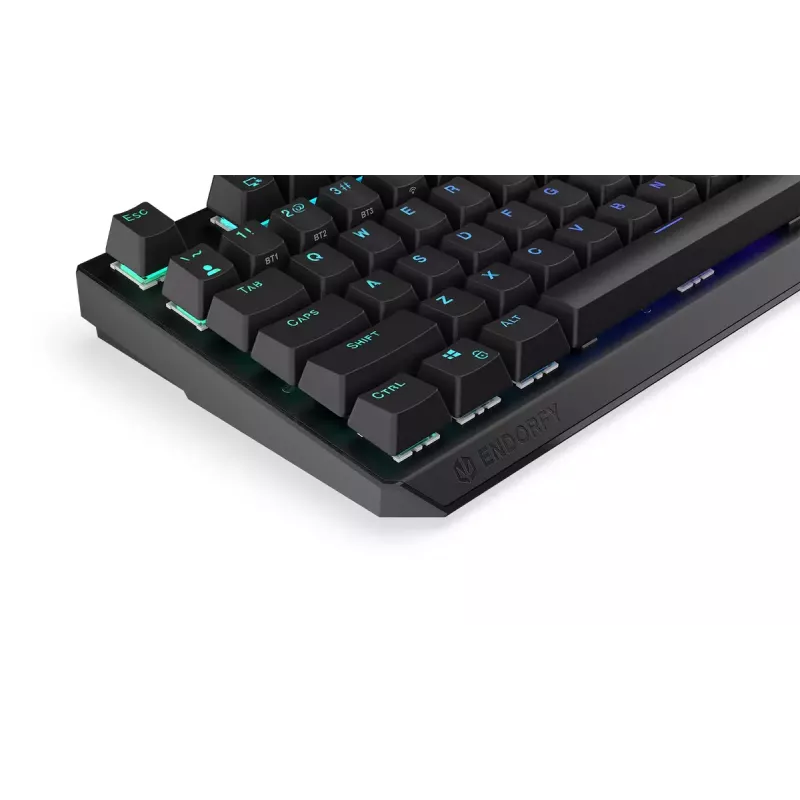 Gaming toetsenbord ENDORFY Thock RF Wireless USB mechanisch RGB zwart