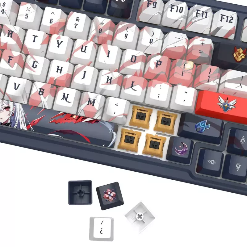 Mechanisch toetsenbord REDRAGON K686AK-RGB-PRO — RF Wireless + USB, Navy White, 1,5 m kabel