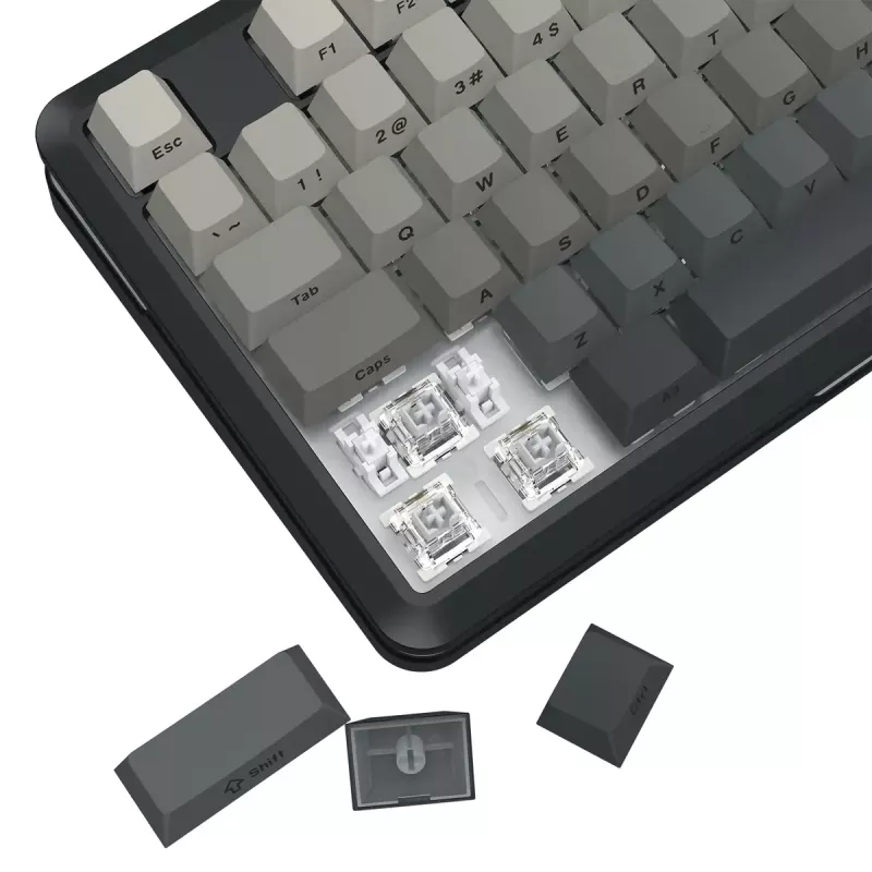 Toetsenbord REDRAGON K734SP-RGB-PRO draadloos USB Bluetooth mechanisch