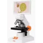 Digitale microscoop MatataLab MatataStudio MT3-4 – model MT3-4 digitale microscoop