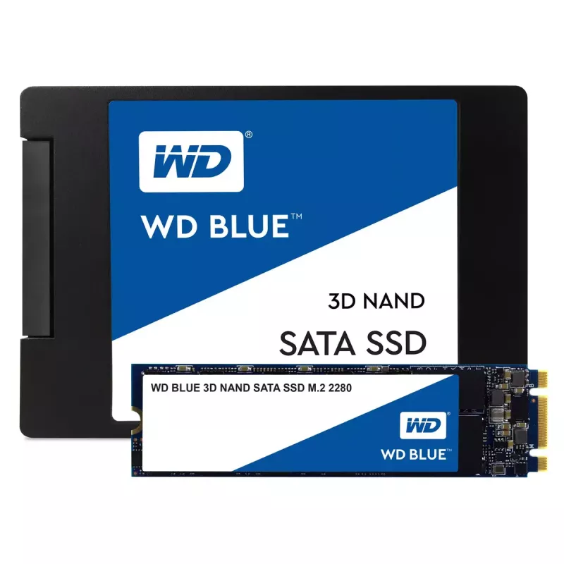 SSD-schijf Western Digital 250 GB M.2 6 Gbit/s WDS250G2B0B