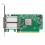 Netwerkkaart Mellanox Technologies MCX556A-ECAT
