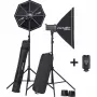Elinchrom D-Lite RX 4/4 To Go studioflitsset (EL-20839)