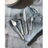 Keukenbestekset ALESSI BG02S24 — tafelmes- en vorkenset, RVS