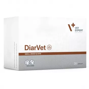VetExpert Diarvet Small Breed en katten 30 capsules.