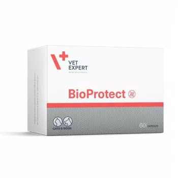VETEXPERT Bioprotect - voedingssupplement voor honden en katten - 60 tabletten