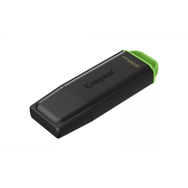 Kingston Technology DataTraveler 256GB draagbare USB 3.2 Gen 1 Exodia zwart/groen