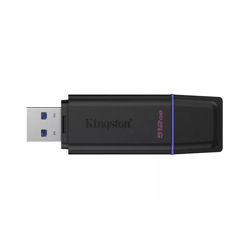 Kingston Technology DataTraveler 512GB draagbare USB 3.2 Gen 1 Exodia zwart/paars