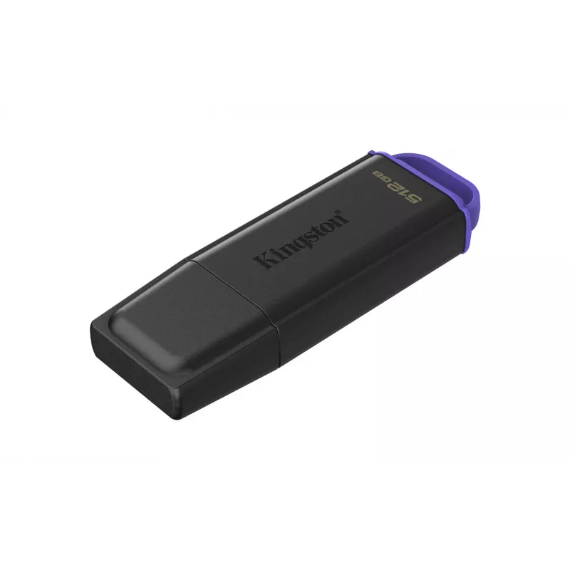 Kingston Technology DataTraveler 512GB draagbare USB 3.2 Gen 1 Exodia zwart/paars