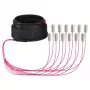 EFB trunkkabel U-DQ(ZN)BH OM4 12G (1x12) SC-SC 20m Dca LSZH