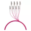 EFB trunkkabel U-DQ(ZN)BH OM4 8G (1x8) LC-LC 80m Dca LSZH
