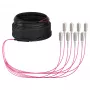 EFB trunkkabel U-DQ(ZN)BH OM4 8G (1x8) SC-SC 20m Dca LSZH