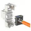 Modulaire RJ-45 ingangsmodule EFB Elektronik ECOLAN E-20080, wit