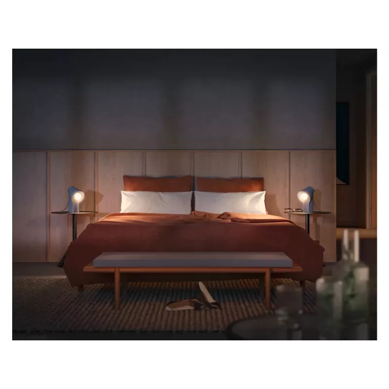 Philips Hue White ambience A60 – E27 slimme lamp – 1100 (2-pack)