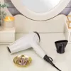 Haardroger Ionic Dry D3194