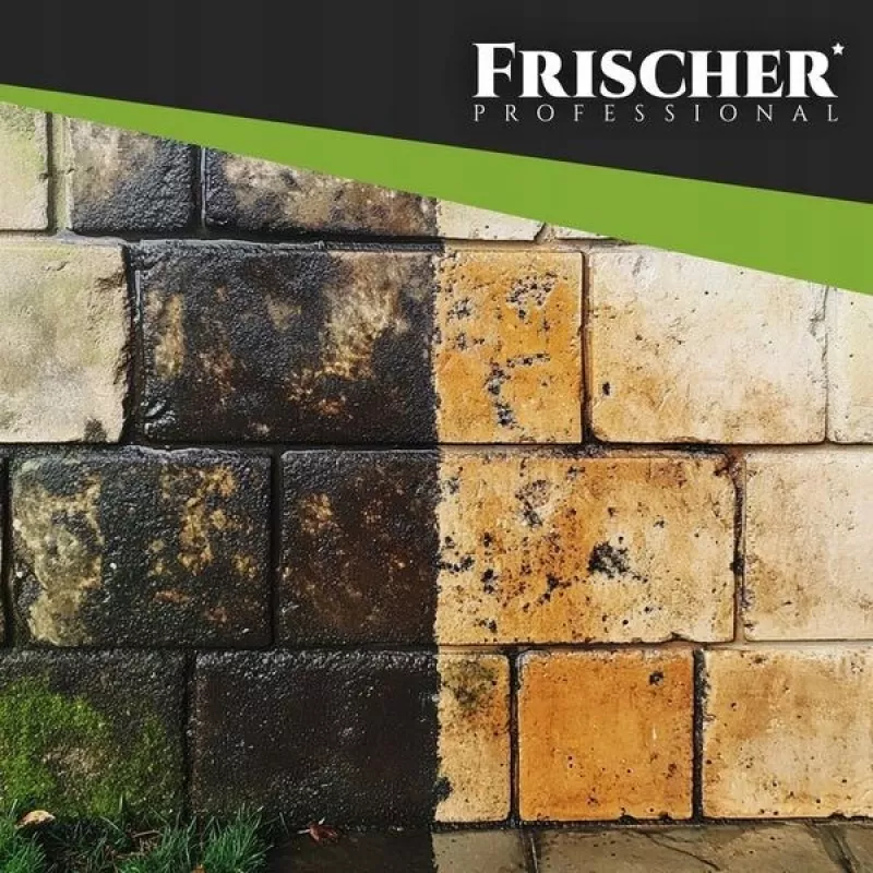 Frischer gevelreiniger 1 l