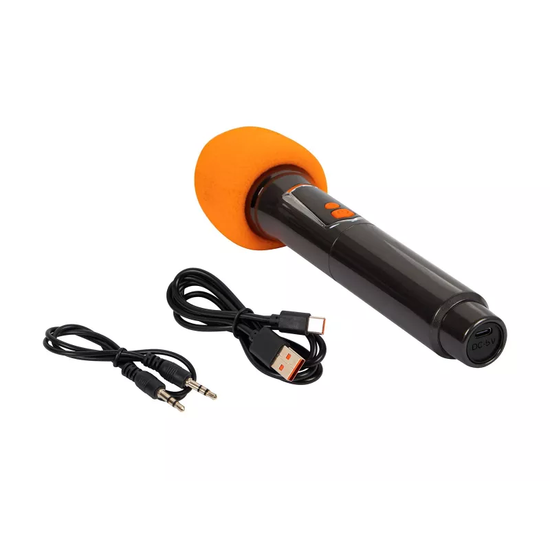 Karaokeluidspreker Infinity 10 inch
