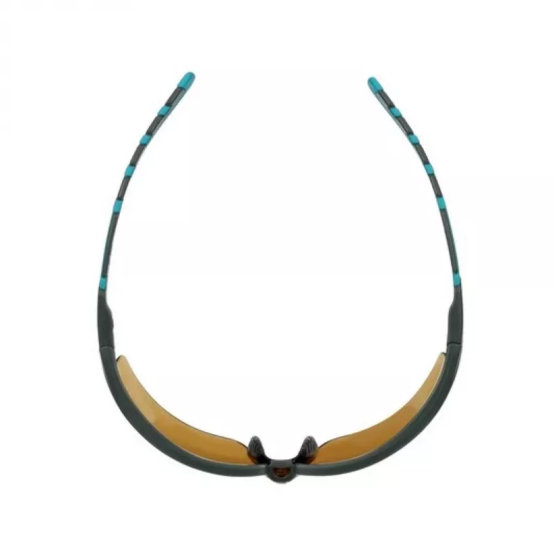 3M S2005SGAF-BGR veiligheidsbril kunststof blauw, grijs