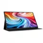 Acer PM161QT draagbare monitor zwart 39,6 cm (15,6 inch) LCD 1920 x 1080 pixel