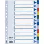 Esselte Blanco tabblad, polypropyleen (PP), A4, meerkleurig, 225 mm