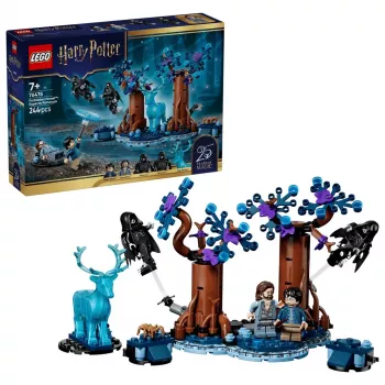 LEGO Harry Potter 76475 Verboden Bos: Expecto Patronum (244 onderdelen)