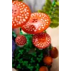 LEGO Botanicals 11505 Boschampignons (806 onderdelen)