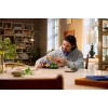 LEGO Botanicals 11505 Boschampignons (806 onderdelen)