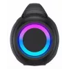 Denver BTG-618 draagbare Bluetooth-partyluidspreker 200W met LED-verlichting, zwart