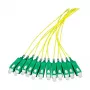 EFB Elektronik Fiber Pigtail SC-APC8° 9/125µm OS2 Geel, 2m