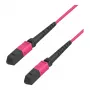 EFB-Elektronik MTP female naar MTP female 12-vezel OM4 multimode-patchkabel, LSZH, erikaviolet, type B, 3m