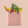 Rotho Multibag Albula Style 25L opbergbox, Meadow Rose