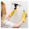MPM MDS-01 raamzuiger 28cm 150ml zwart/groen