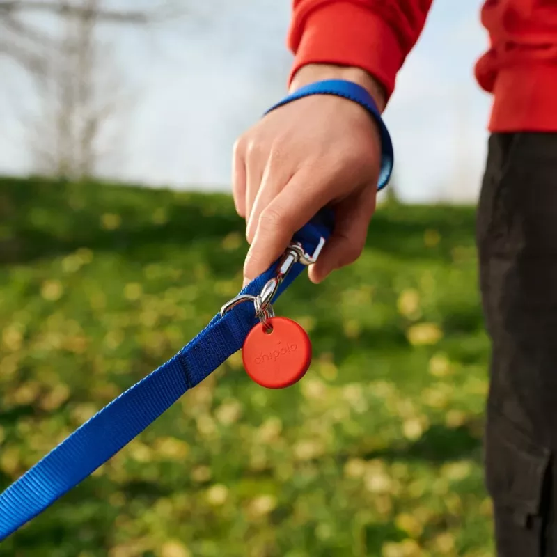 Chipolo POP Bluetooth-tracker met vervangbare batterij voor iOS & Android, blauw
