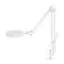NEDIS MAGLE2WT Tafelloep met LED-licht, 2x/4x vergroting, Wit