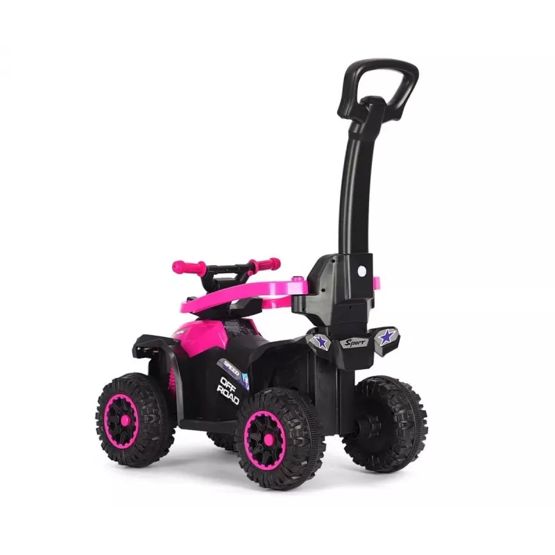 MILLY MALLY kinderfiets met duwstang Wild Pink 12 inch