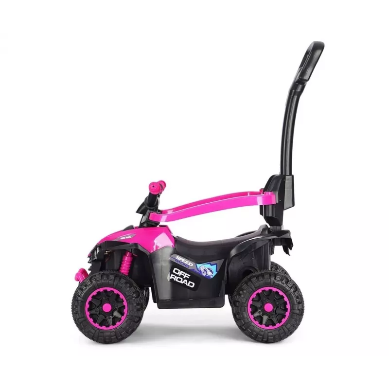 MILLY MALLY kinderfiets met duwstang Wild Pink 12 inch