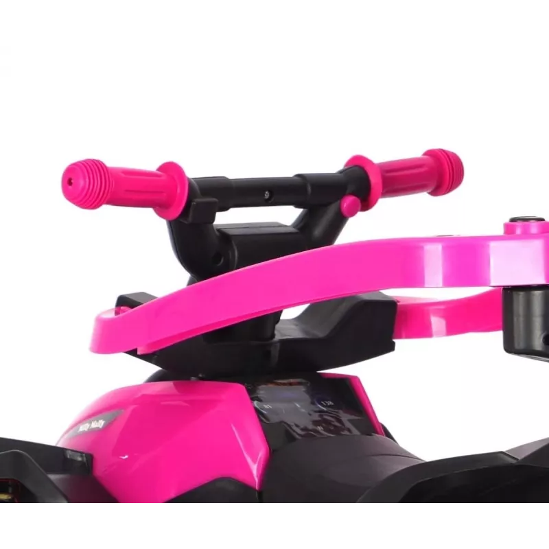 MILLY MALLY kinderfiets met duwstang Wild Pink 12 inch
