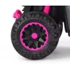 MILLY MALLY kinderfiets met duwstang Wild Pink 12 inch