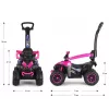 MILLY MALLY kinderfiets met duwstang Wild Pink 12 inch