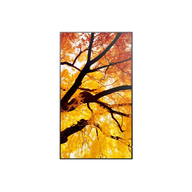 Sharp MultiSync M652 65 inch 4K UHD Professioneel display 550 cd/m² 24/7