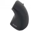 Equip 245110 Verticale ergonomische draadloze muis - rechtshandig - 2,4 GHz - USB-ontvanger - zwart